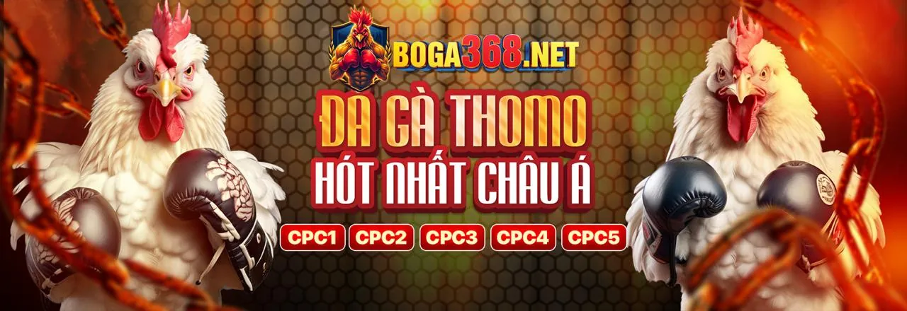 Đá Gà Trực Tuyến UU666
