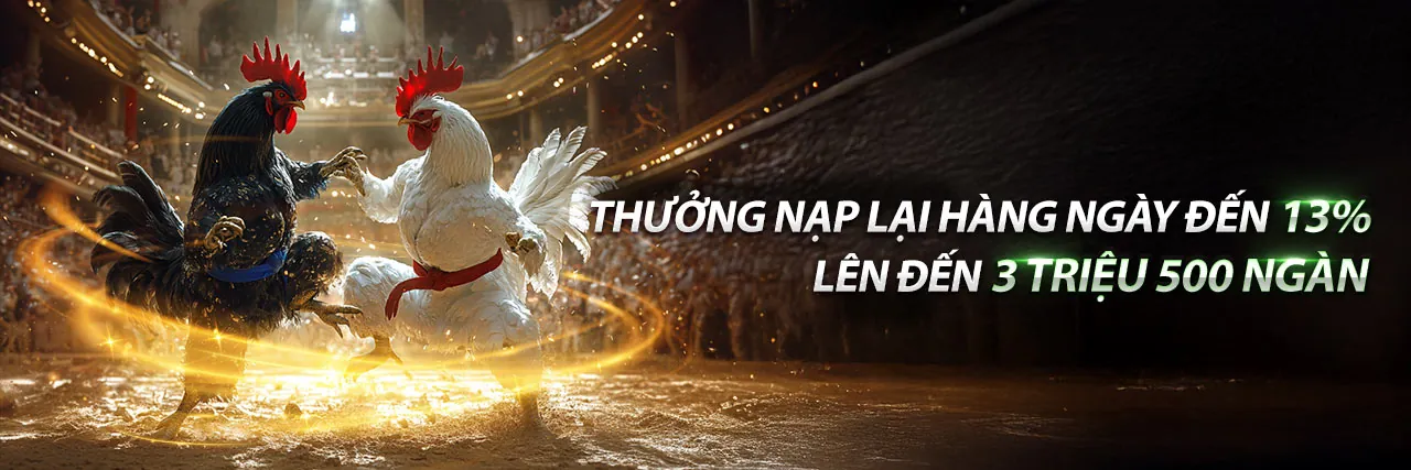 Sân đá gà trực tuyến uu666 sôi động